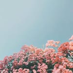 Lauren - @laurenborder.art10 - Instagram