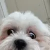 Lauren - @laurenborder - TikTok