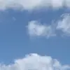 laurenboss__ - @laurenboss__ - TikTok