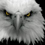 Laurens Bos - Facebook
