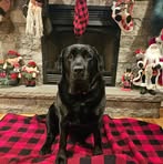 Lauren Brink - Facebook