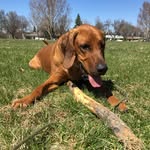 lauren from canada - @bettterweather - Instagram