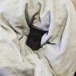 Laurence chartrand - @cafelemaltipoo - Instagram