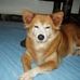 Lauren Cima - Facebook