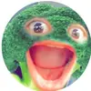 Shrek’s Gurlfriend - @cloudy._.lauren08 - TikTok