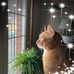 Lauren Collette - Facebook