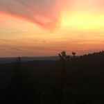 Lauren Danforth - @universalvibrance - Instagram