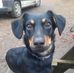 Laurent Devers - Facebook