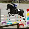 Lauren Doty - @lauren_doty42 - TikTok