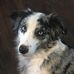 Lauren Doty - Facebook