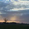 laurendowning1221 - @laurendowning1221 - TikTok