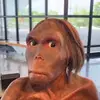 Lauren - @lauren_downs - TikTok