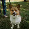laurendupree67 - @lauren.dupree8 - TikTok