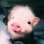 LAUREN EASTERLING - @laurenthevegan_ - Instagram