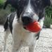 Loren Eckardt - Facebook