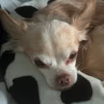 Lauren Eley - Facebook