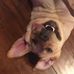 Lauren Ethridge - Facebook