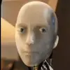 laurenforcement4 - @laurenforcement4 - TikTok