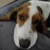 lauren.geiger - @lauren.geiger - TikTok