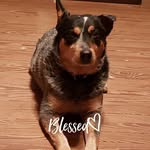 Lauren Gresham Bryant - @brynt2017 - Instagram