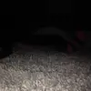 lauren.halcomb - @lauren.halcomb - TikTok