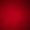 Lauren Hames - @lauren_hames - TikTok