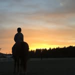 Lauren Hames-MacLean - @lauren_equstrian - Instagram