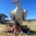 Lauren Hatton - Facebook