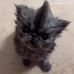 Lauren Higbee - Facebook