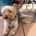 Lauren Higbee - Facebook
