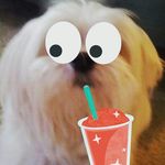 Lauren - @lauren_hinrichsen - Instagram