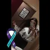 Lauren Irving - @laurenirving3 - TikTok