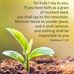Lauren Irving - Facebook