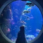 Lauren Jarrell - @ljarrell2006 - Instagram