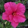user5857123731649 - @knabelauren - TikTok