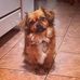 Lauren Macaulay - Facebook