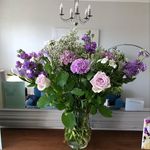Lauren Mackinnon - @ourharbornehomeandallotment - Instagram