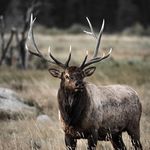 Lauren Major - @laurenmajor_photo - Instagram