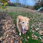 Lauren Malec - Facebook