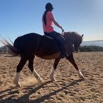 Lauren McElroy - @laurenmcelroy_eq - Instagram