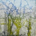 Lauren McSweeney Anzivino - @laurenanzivino - Instagram