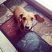 Lauren Messing - Facebook