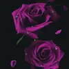 laurenmurillo55 - @laurenmurillo55 - TikTok