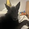 laurenorrr - @laurenorrr - TikTok