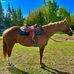 Loryn Petley - Facebook