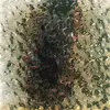 laurenpickering81 - @laurenpickering81 - TikTok