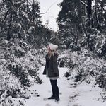 Lauren Pollock - @laurenmareepollock - Instagram