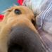 Lauren Rankin - Facebook