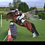 Lauren Ranson - @a_welshies_dressage_debut - Instagram