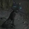 lauren_red - @lauren_red - TikTok